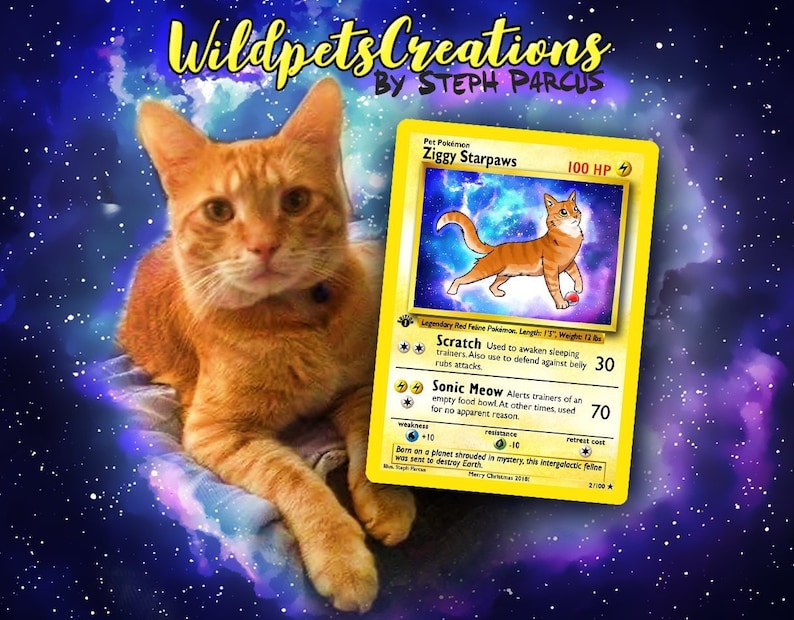 your Pet as a Pokemon card 