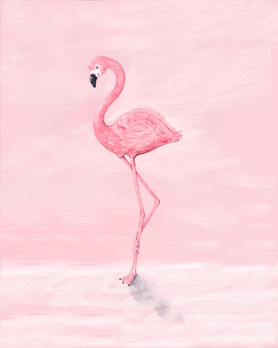 flamingo themed baby nursery