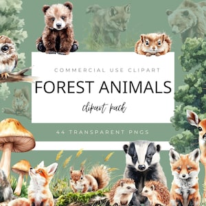Clipart di animali del bosco ad acquerello, decorazioni per cameretta nel bosco, graziose illustrazioni naturalistiche di animali selvatici, baby shower nel bosco, scrapbooking, decorazioni in stile boho