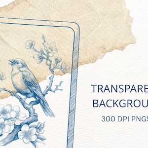 Pu&ograve; includere: Illustrazione blu e bianca di un uccello posato su un ramo fiorito. L'immagine ha uno sfondo trasparente e include il testo "TRANSPARENT BACKGROUND" e "300 DPI PNGS".