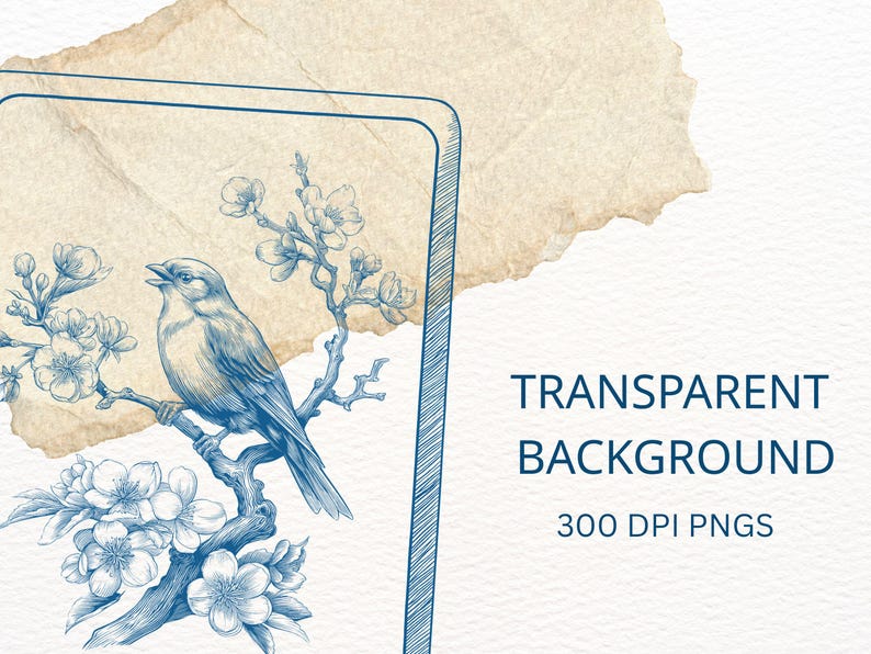 Pu&ograve; includere: Illustrazione blu e bianca di un uccello posato su un ramo fiorito. L'immagine ha uno sfondo trasparente e include il testo "TRANSPARENT BACKGROUND" e "300 DPI PNGS".
