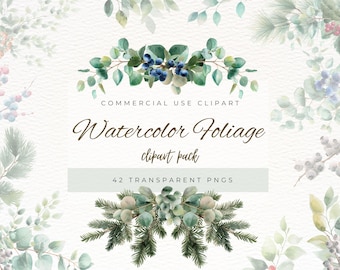Aquarel gebladerte clipart, wintergroen png, botanische clipart, eucalyptus, Мistletoe, groene bladeren en bosbessen, Instant Download