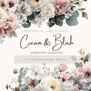 May include: A digital watercolor design featuring cream and blush-colored flowers, including roses and anemones, with green foliage. The text "Cream & Blush" and "watercolor collection" are displayed. The image also states "14 transparent PNGs".