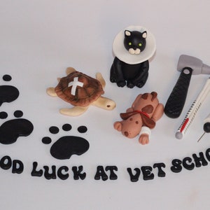 Fondant Vet Doctor Nurse Graduation Cake Toppers Decoration Veterinarian