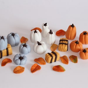 May include: A collection of miniature pumpkins in various colors, including orange, white, and blue, along with small hay bales and fall-colored leaves. The pumpkins have dark brown stems, perfect for autumn decor.