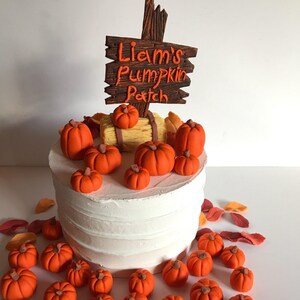 May include: A white frosted cake decorated with orange pumpkins and fall leaves. A wooden sign that reads "Liam's Pumpkin Patch" is on top of the cake. The cake is surrounded by more orange pumpkins.
