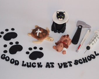 Fondant Vet Doctor Nurse Graduation Cake Toppers Decoration Veterinarian