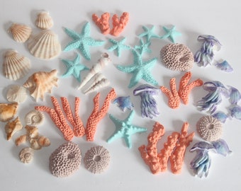 X-TRA LARGE Sea Shells  Sea Stars 4", 3",  2"Fondant Cake Decoration Ocean Boho Beach Wedding