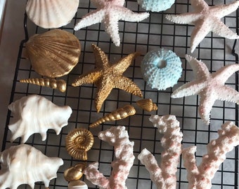 Edible Fondant Sea Shell Cake Toppers: Blush, Gold, Teal - 15 Piece Set