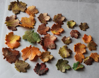 Fondant 12 Maple Leaves Fall Edible Sugar Topper Wedding Cake Decoration Birthday Party ThanksGiving