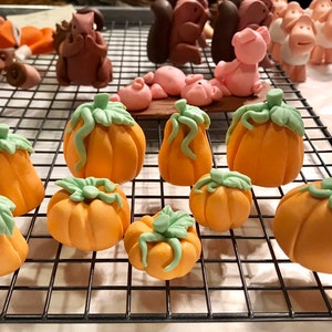 May include: A collection of nine miniature pumpkins, each with a green stem and leaves, arranged on a black wire rack. The pumpkins are made of fondant and are a light orange color.