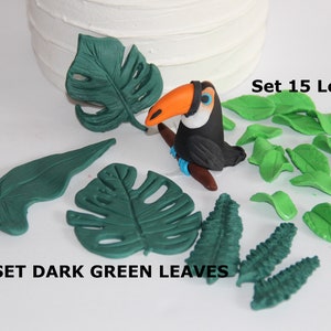 May include: Set of 15 green fondant leaves for cake decorating. The set includes a variety of leaf shapes, including monstera leaves, fern leaves, and small leaves.  The leaves are a dark green colour and are perfect for adding a tropical touch to your cake.