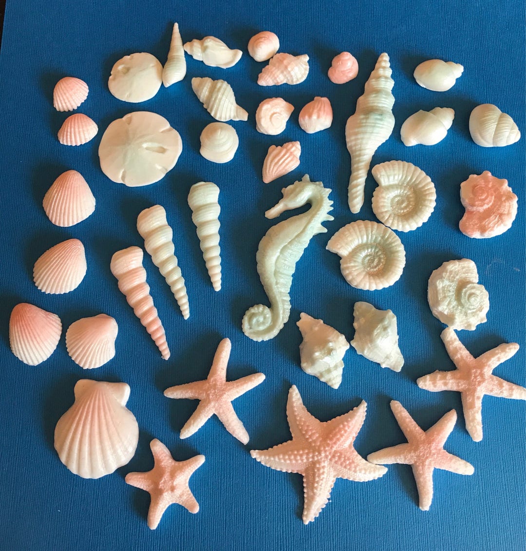 Fondant Sea Shells Sea Stars Cake Decoration Ocean Boho Beach Wedding