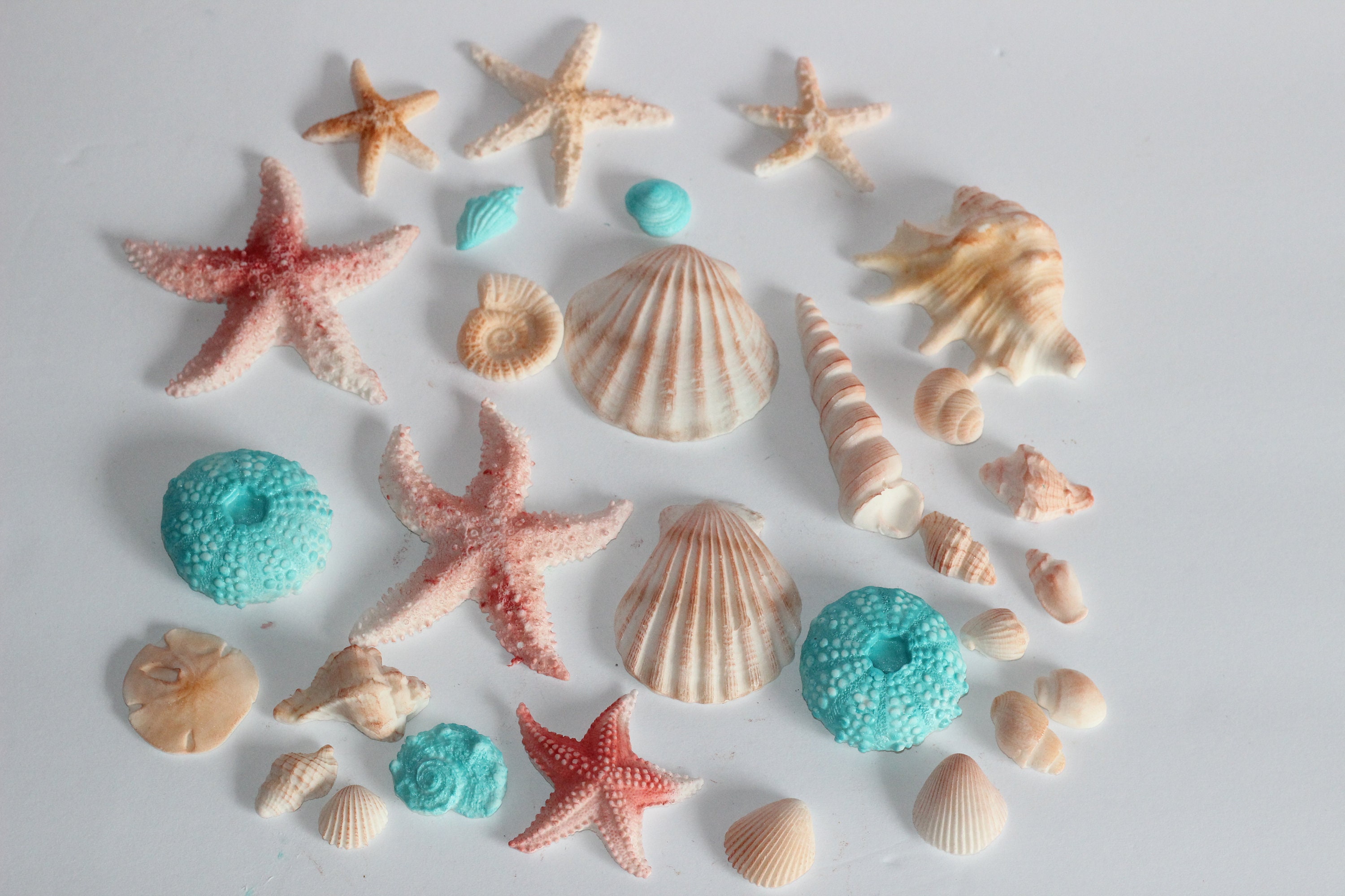 Fondnat LARGE Sea Shells  Sea Stars  Clams 3",  2" Fondant Cake Decoration Ocean Boho Beach Wedding