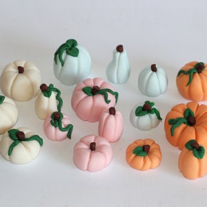 May include: A collection of 14 miniature fondant pumpkins in various sizes and colors, including white, light blue, pink, and orange. The pumpkins have green stems and leaves.