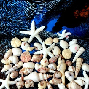 May include: A collection of white seashells and starfish on a blue background with a school of silver fish swimming in the background.