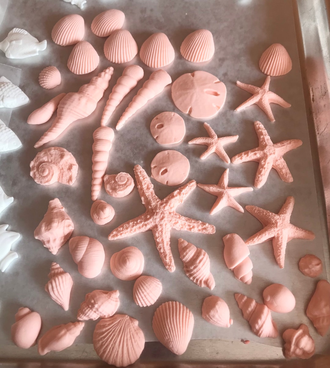 Fondant 30 Sea Shells Edible Sugar Cake Cupcake Topper Ocean Boho Beach ...