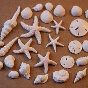 Fondant 30 Sea Shells Edible Sugar Cake Cupcake Topper Ocean Boho Beach Wedding Decoration