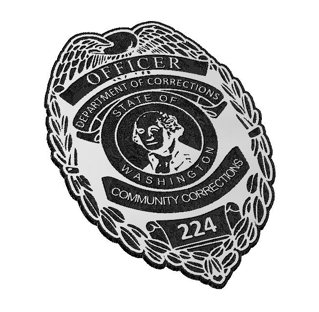 Departamento de Correcciones Oficial Insignia Estado de Etsy