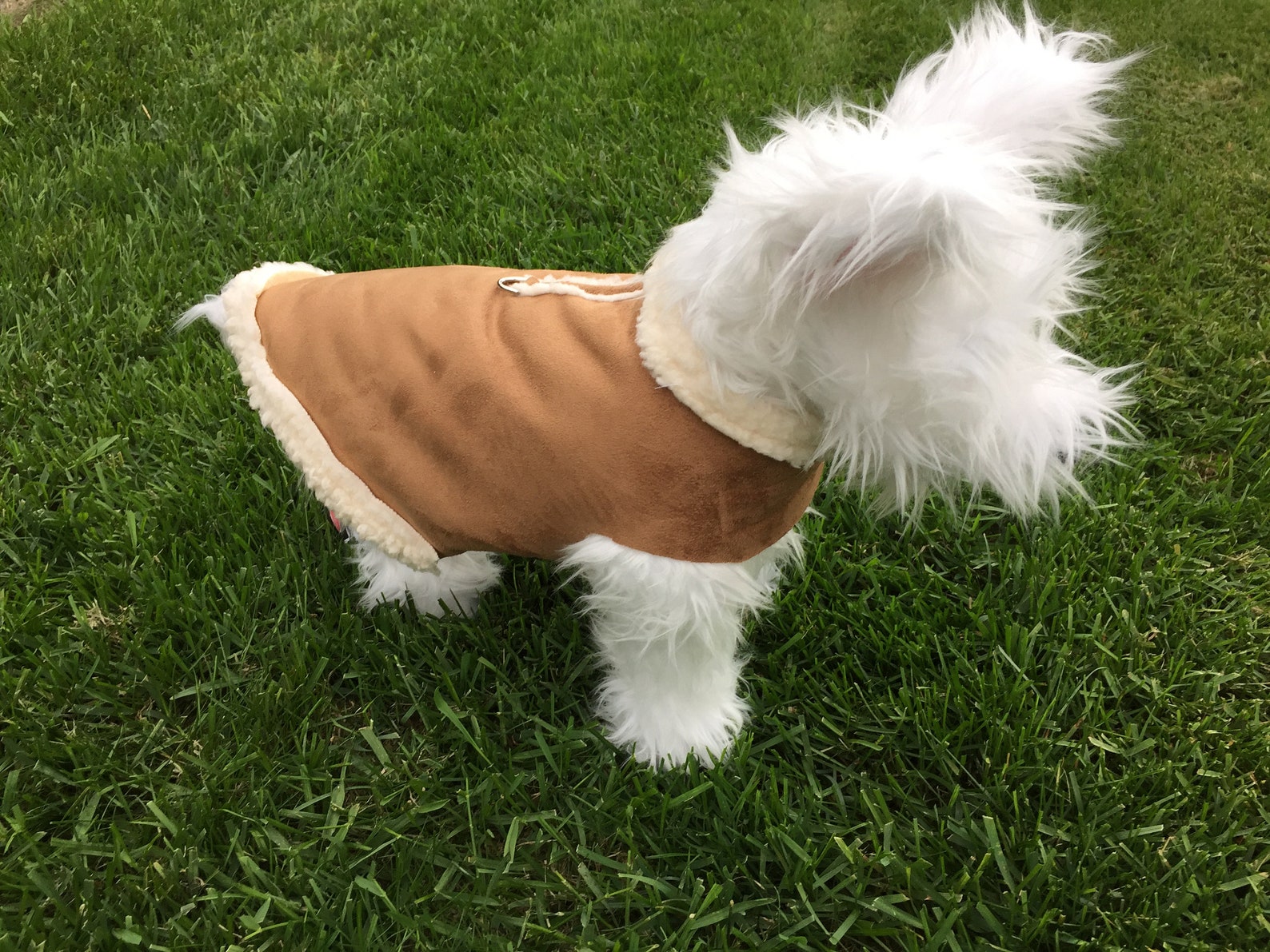 Dog Coat/sherpa Dog Coat Etsy Canada