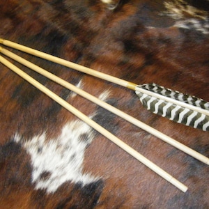 Atlatl Dart, Practice - Take Down (3 Pieces)