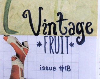 DIGITAL DOWNLOAD - Zine "Vintage Fruit" Issue #18 - Random Poetry, Writing, and Low-Brow Art Zine - Digital Zine - Weird Digital Magazine