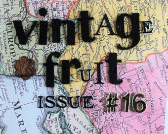 DIGITAL DOWNLOAD - Zine "Vintage Fruit" Issue #16 - Random Poetry, Writing, and Low-Brow Art Zine - Digital Zine - Weird Digital Magazine