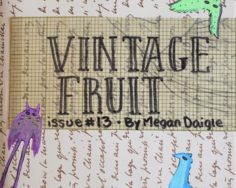 Pode incluir: Capa da revista Vintage Fruit com o título "Vintage Fruit" e o número da edição "#13". A capa apresenta uma colagem de ilustrações coloridas desenhadas à mão de pássaros e um gato.