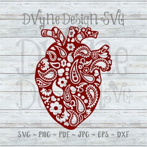 Cardiology SVG, Paisley Heart Vinyl Cut File for Silhouette or Cricut, Anatomical Heart PNG for Sublimation, Instant Download