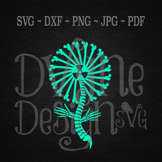 Radiology Svg Xray Flower Svg Rad Flower Shirt Cut File Etsy