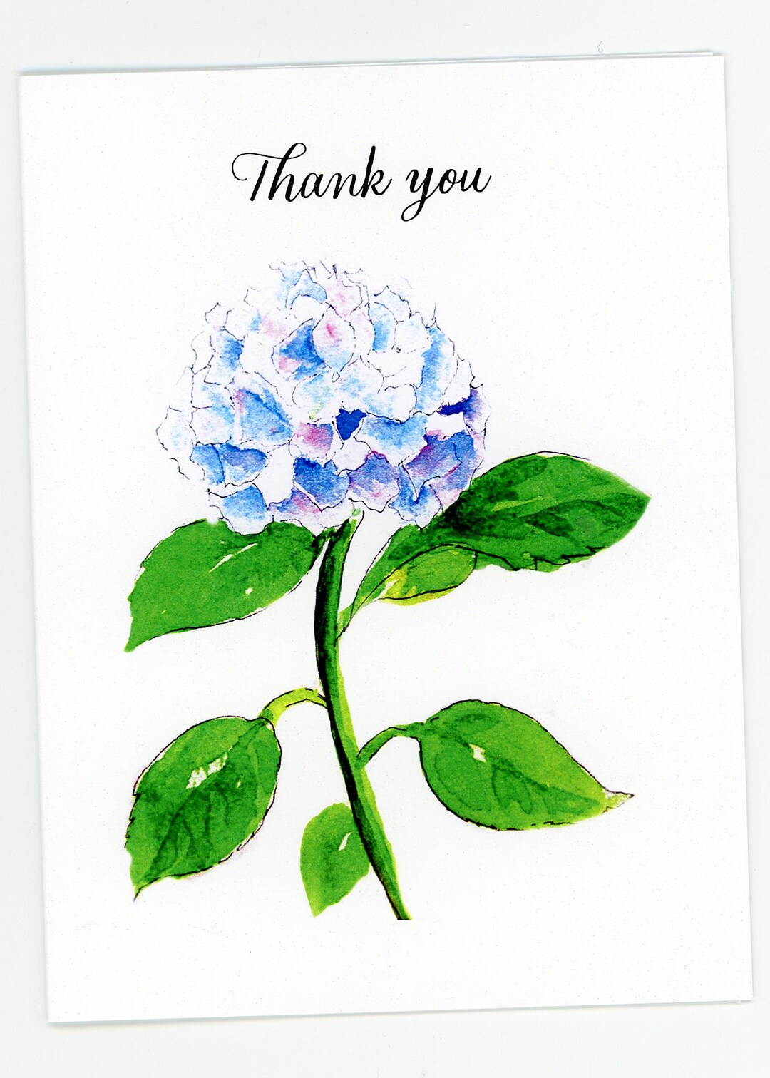 FLORAL THANK YOU Note Card Set Hydrangea Watercolor - Etsy