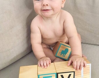 Wooden Letter Blocks (Raw Framed)