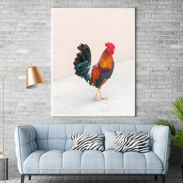 Rooster, Key West, Florida, Key West Culture, Florida Keys Photography, Rooster Photography, Rooster Wall Art, Rooster Decor, Key West Decor