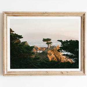 Lone Cypress, California, Monterey, Carmel, Tree Photo, Sunset Photo, Big Sur, California Wall Art, Fine Art Print, Travel Photo, California