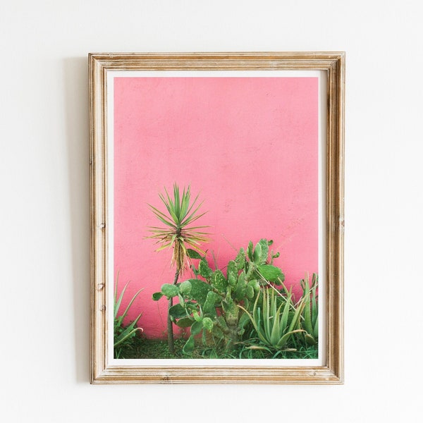 Cacti on Pink Wall, Mexico, Oaxaca Mexico, Travel Photo, Fine Art Print, Mexico Wall Art, Minimal Photo, Mexico Home Decor, Colorful Photo