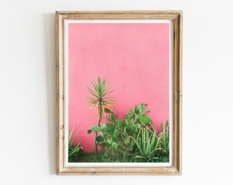 May include: A framed print of a pink wall with green plants growing in front of it. The plants are a variety of succulents and cacti.
