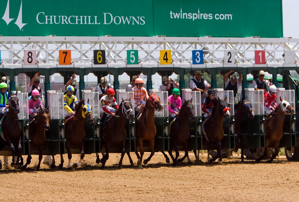 Horse Race Etsy Horse Race Etsy