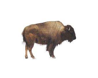 100th Meridian Buffalo Art Print (WHITE): Music-inspired Wall Art, Winnipeg Vintage Map, Canadiana, Bison