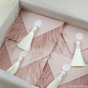 5 Paper envelopes with feathers tassels wax seal classic event luxurious wedding decoration gift for guest wrapping invite elegant pink