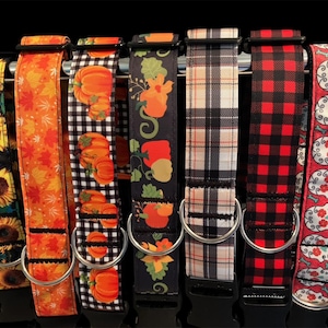 May include: A collection of dog collars with various patterns, including sunflowers, fall leaves, pumpkins, plaid, and sugar skulls. Each collar features a black buckle and a silver metal ring for leash attachment. The collars are displayed against a black background.