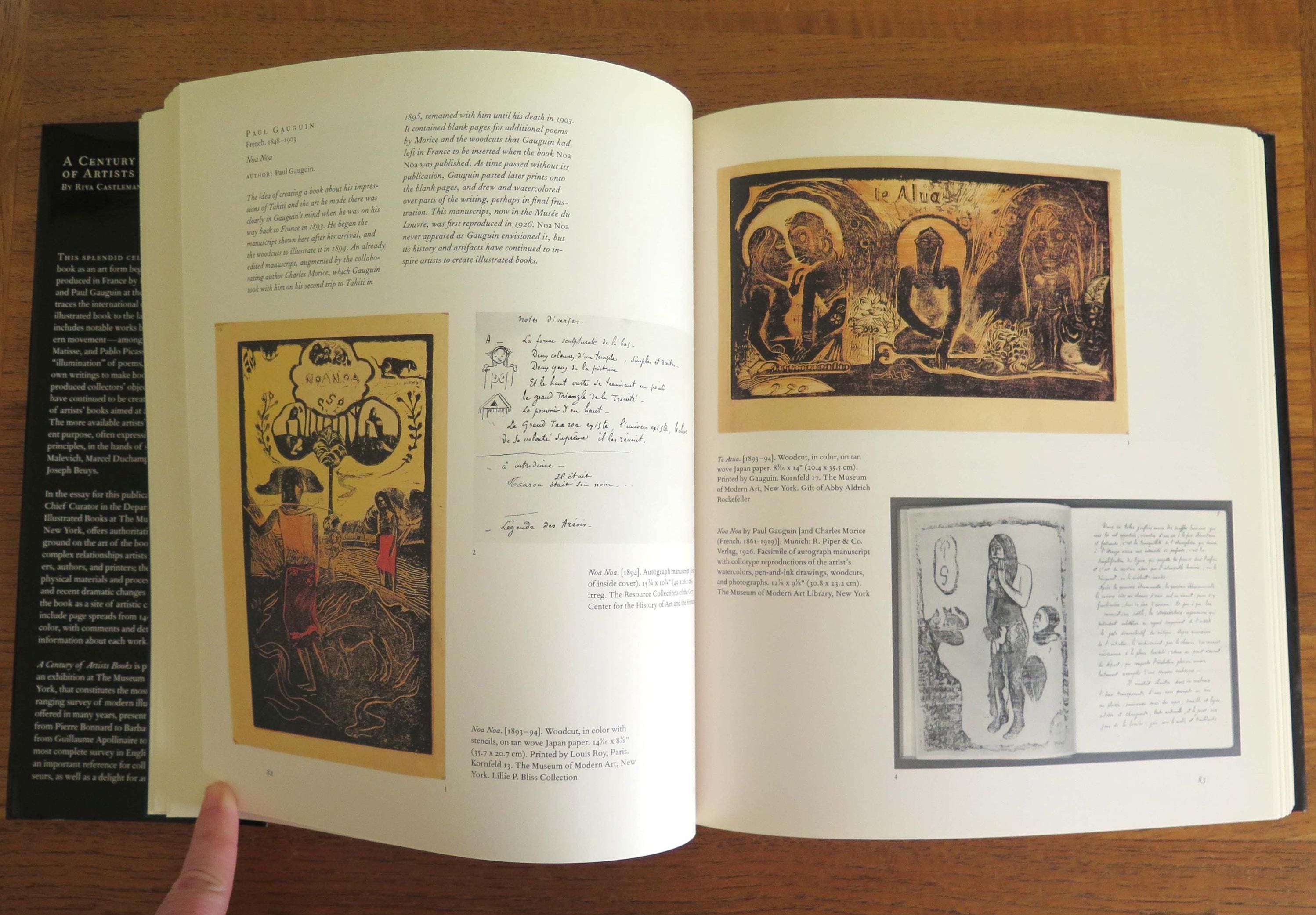 A Century of Artists Books, Riva Castleman, 1994, Vintage Museum of ...