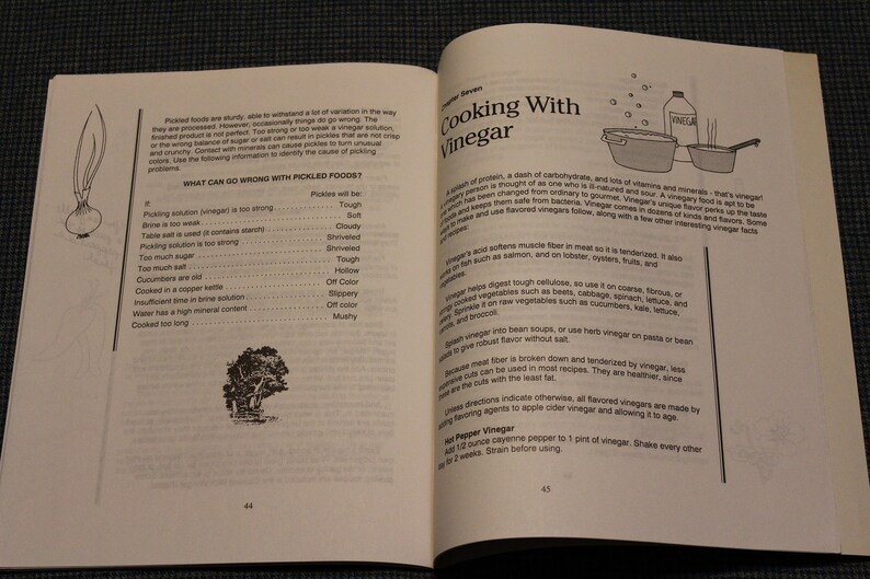 Vinegar the Magical Tonic the Vinegar Book & Vinegar Diet Etsy