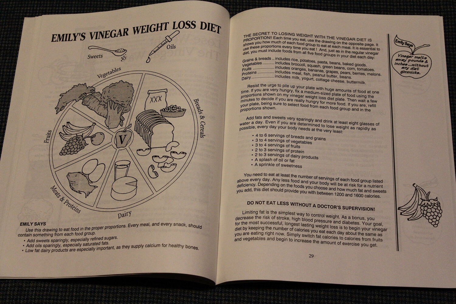 The Vinegar Book By Emily Thacker (Paperback) - Discover Hundreds Of Uses For Cleaning & Health