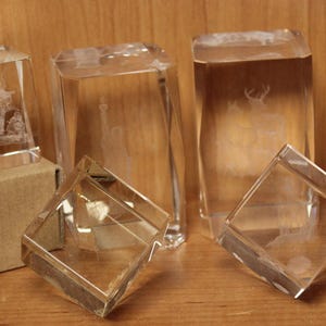Könnte beinhalten: Ein Satz von sechs klaren Glasblöcken mit verschiedenen geätzten Designs. Die Blöcke sind auf einer braunen Oberfläche angeordnet. Die Designs beinhalten ein Reh, einen Vogel und ein abstraktes Muster.