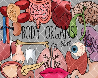 Body Organs Clipart- Instant Download - Heart - Lungs - Brain - Kidneys and Many More