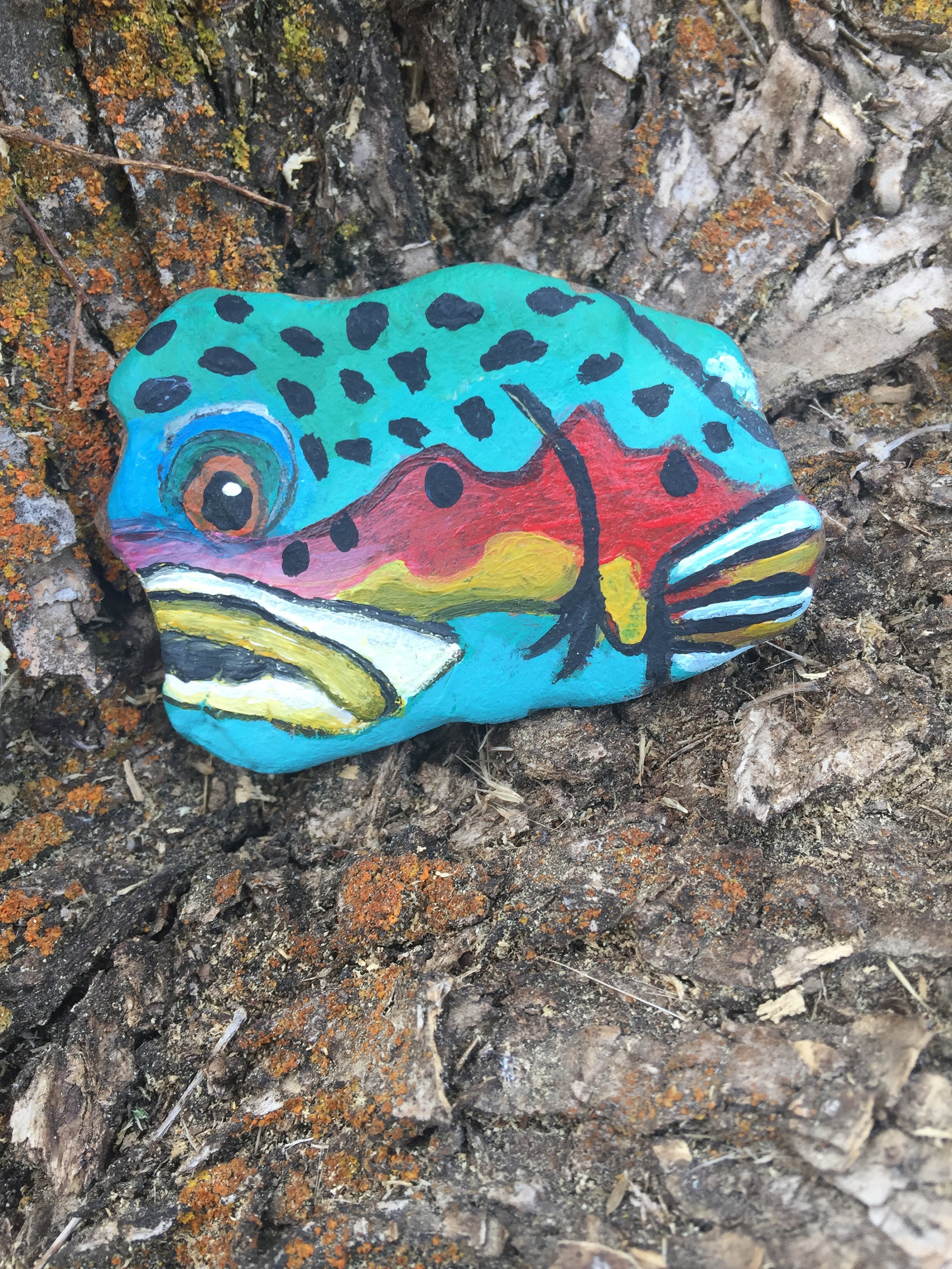 Rainbow trout hand painted rock home decor office decor Etsy
