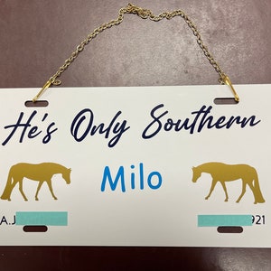 Custom Equine Stall Sign - metal - 12&quot; x 6&quot;