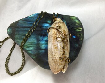 Seashell pendant, wire-wrapped shell pendant, boho seashell necklace, ocean jewelry, healing shell pendant, sea jewelry, shell necklace