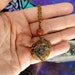 see more listings in the Fossil Necklaces section