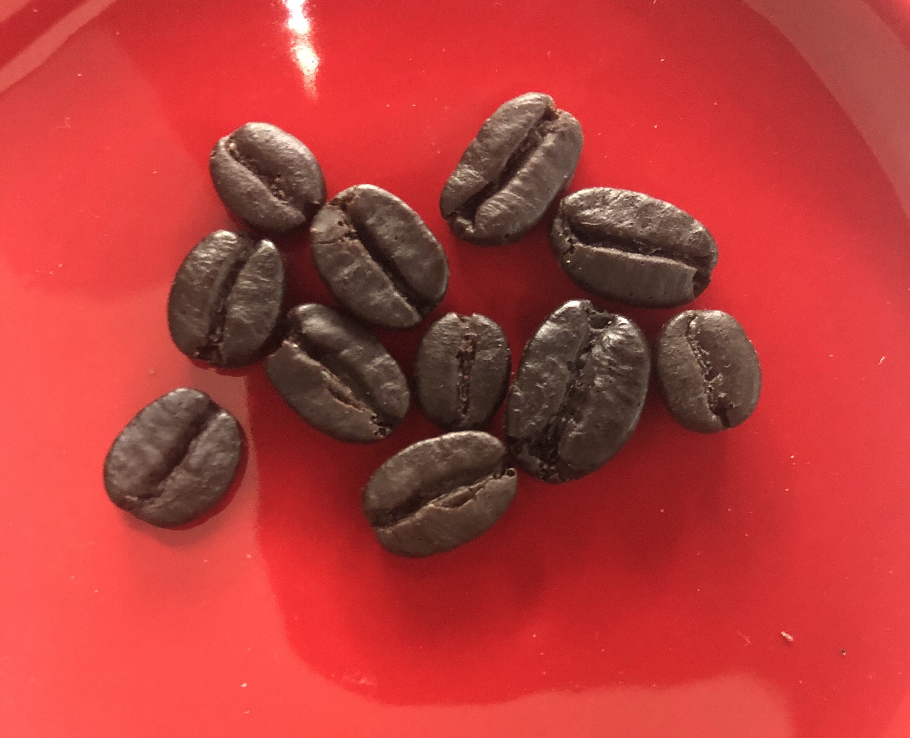Fake Resin Coffee Beans Tumbler Toppers, Mini Mug Topper, Slime, Tier ...